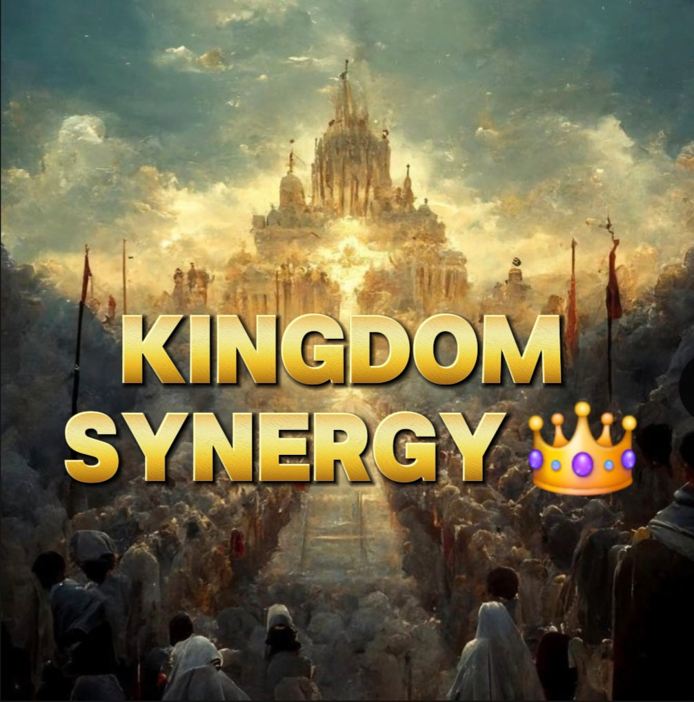 KINGDOM SYNERGY - BI WEEKLY GROUP COACHING
