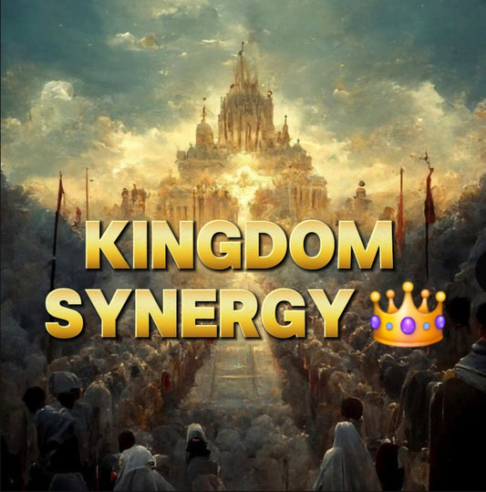 KINGDOM SYNERGY - BI WEEKLY GROUP COACHING